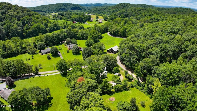 301 Keenburg Rd, Bluff City, TN 37618 - bird's eye view of a forest