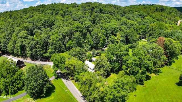 301 Keenburg Rd, Bluff City, TN 37618 - bird's eye view of a forest