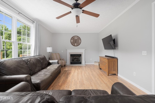 661 Hamilton Trl, Piney Flats, TN 37686 - photo 8