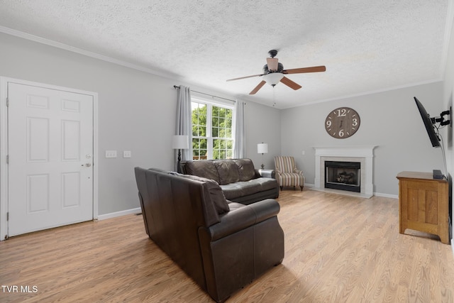 661 Hamilton Trl, Piney Flats, TN 37686 - photo 9