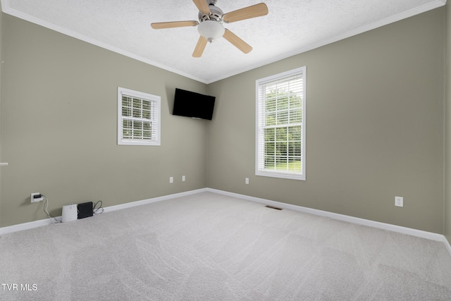661 Hamilton Trl, Piney Flats, TN 37686 - photo 22