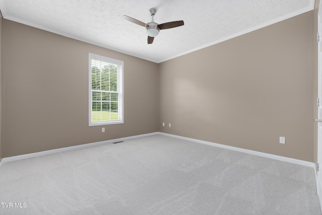 661 Hamilton Trl, Piney Flats, TN 37686 - photo 24