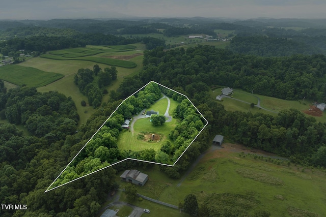 661 Hamilton Trl, Piney Flats, TN 37686 - photo 4