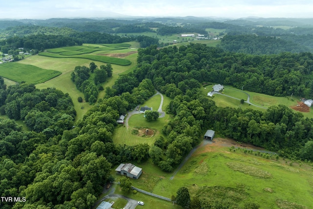 661 Hamilton Trl, Piney Flats, TN 37686 - photo 66