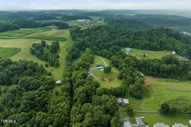 661 Hamilton Trl, Piney Flats, TN 37686 - photo 67