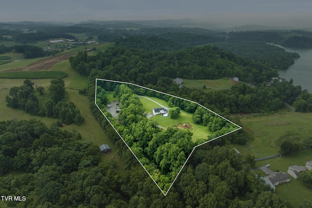661 Hamilton Trl, Piney Flats, TN 37686 - photo 68