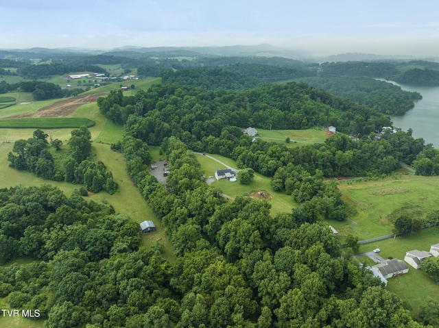 661 Hamilton Trl, Piney Flats, TN 37686 - photo 69