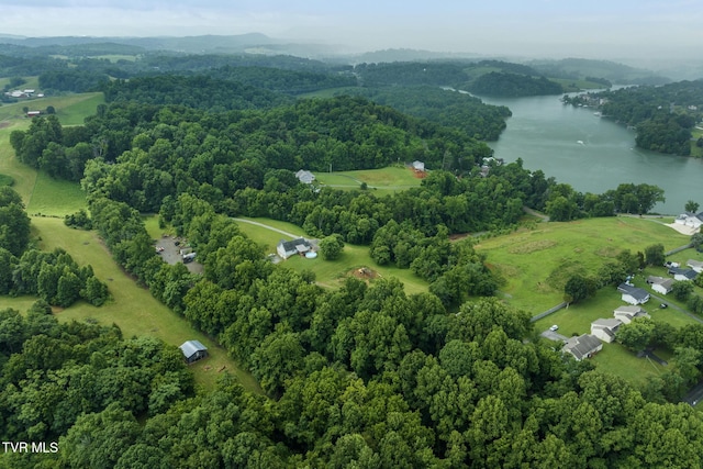 661 Hamilton Trl, Piney Flats, TN 37686 - photo 70