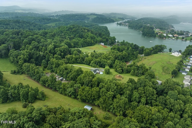 661 Hamilton Trl, Piney Flats, TN 37686 - photo 71