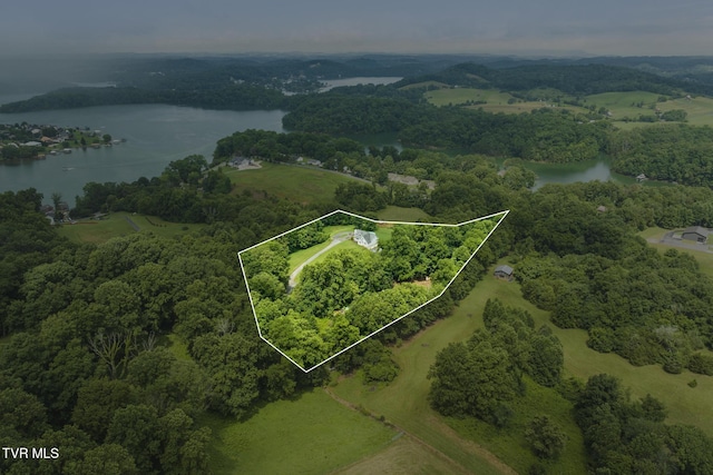 661 Hamilton Trl, Piney Flats, TN 37686 - photo 5