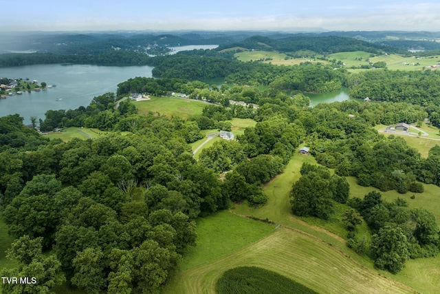 661 Hamilton Trl, Piney Flats, TN 37686 - photo 74