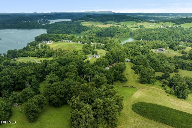 661 Hamilton Trl, Piney Flats, TN 37686 - photo 75