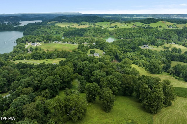 661 Hamilton Trl, Piney Flats, TN 37686 - photo 76