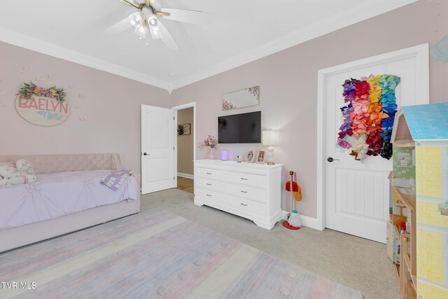 150 Shadden Spgs, Johnson City, TN 37615 - photo 43