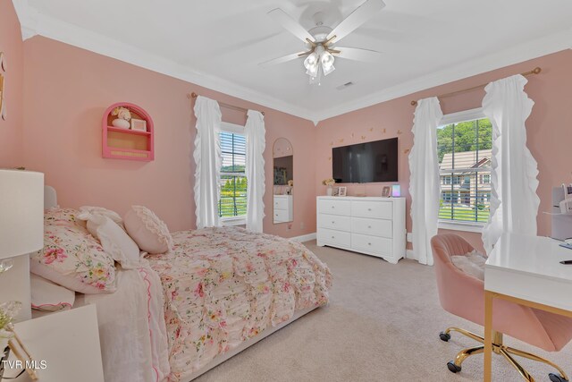 150 Shadden Spgs, Johnson City, TN 37615 - photo 45