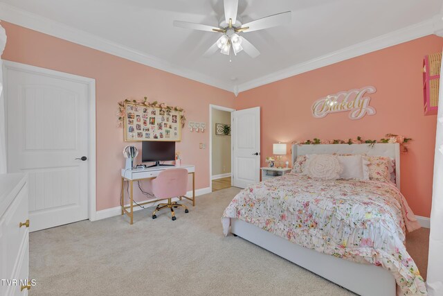150 Shadden Spgs, Johnson City, TN 37615 - photo 46