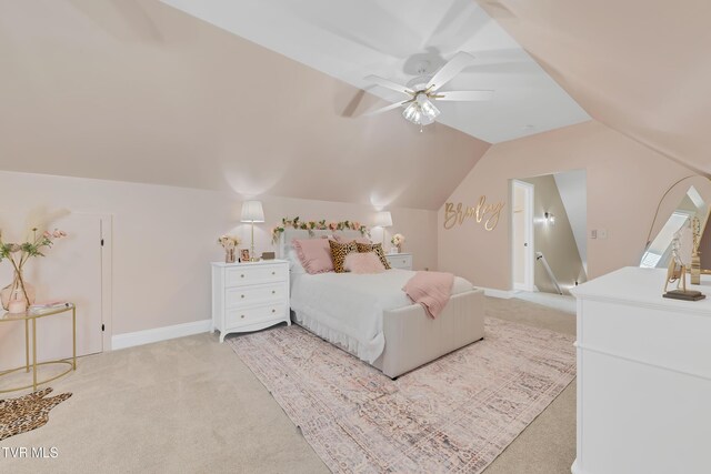 150 Shadden Spgs, Johnson City, TN 37615 - photo 37