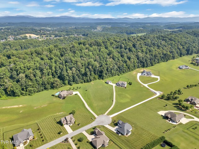 150 Shadden Spgs, Johnson City, TN 37615 - photo 60