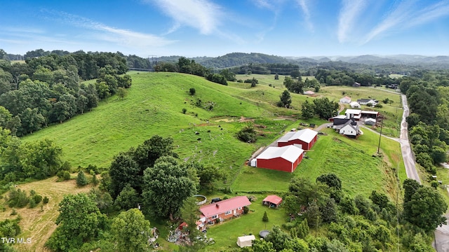106 Gentry Hamilton Rd, Gray, TN 37615 - photo 40
