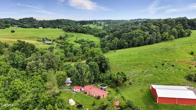 106 Gentry Hamilton Rd, Gray, TN 37615 - photo 42
