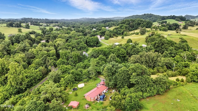 106 Gentry Hamilton Rd, Gray, TN 37615 - photo 43