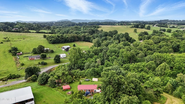 106 Gentry Hamilton Rd, Gray, TN 37615 - photo 44
