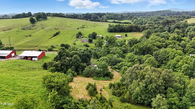 106 Gentry Hamilton Rd, Gray, TN 37615 - photo 45