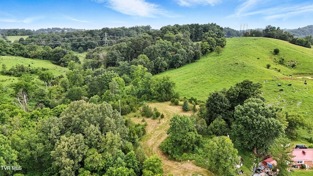 106 Gentry Hamilton Rd, Gray, TN 37615 - photo 49