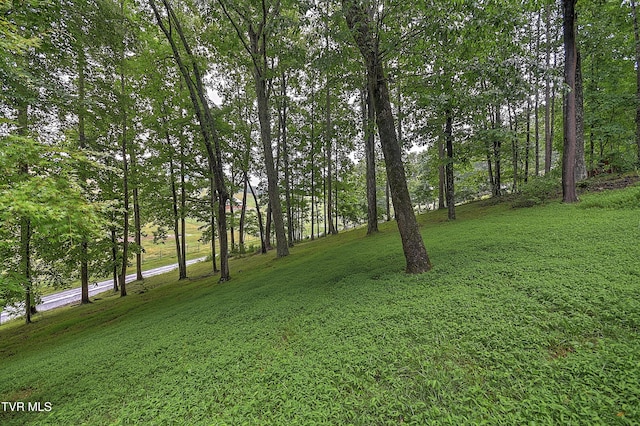 13275 Chip Ridge Rd, Abingdon, VA 24210 - view of grassy yard