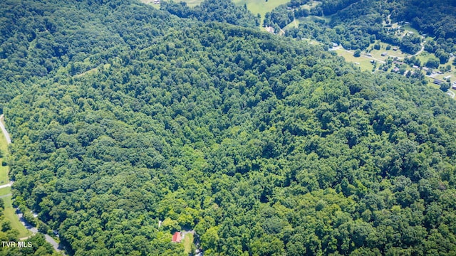 Tbd Icy Lane, Elizabethton, TN 37643 - photo 3