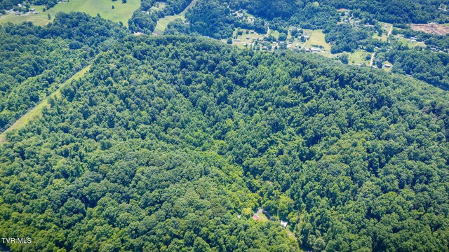Tbd Icy Lane, Elizabethton, TN 37643 - photo 6