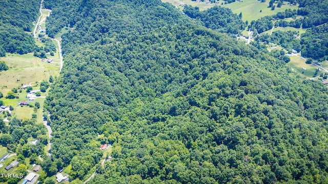 Tbd Icy Lane, Elizabethton, TN 37643 - photo 5