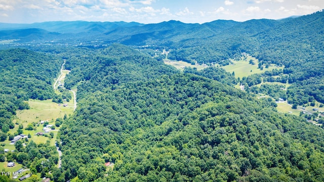 Tbd Icy Lane, Elizabethton, TN 37643 - photo 1