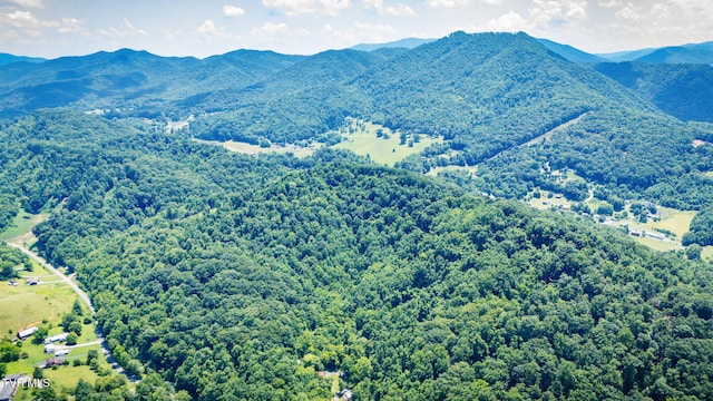 Tbd Icy Lane, Elizabethton, TN 37643 - photo 2