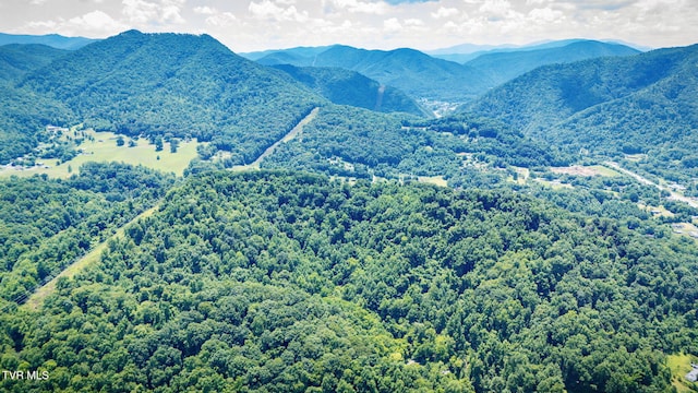 Tbd Icy Lane, Elizabethton, TN 37643 - photo 7