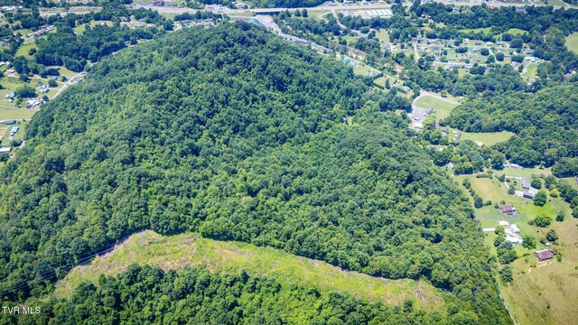 Tbd Icy Lane, Elizabethton, TN 37643 - photo 13