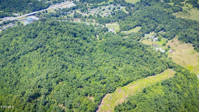 Tbd Icy Lane, Elizabethton, TN 37643 - photo 14