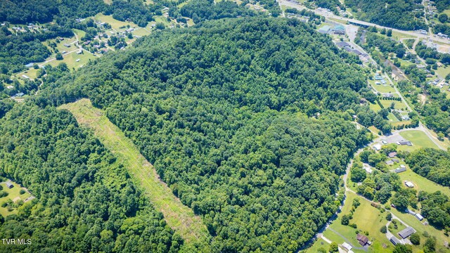 Tbd Icy Lane, Elizabethton, TN 37643 - photo 9
