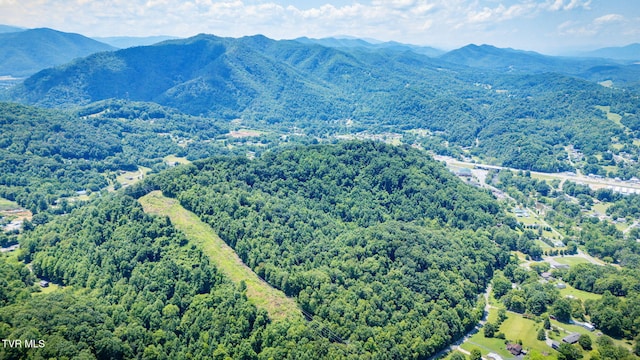 Tbd Icy Lane, Elizabethton, TN 37643 - photo 10