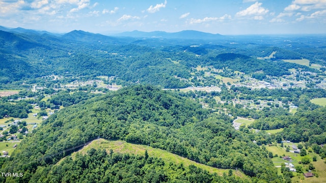 Tbd Icy Lane, Elizabethton, TN 37643 - photo 11