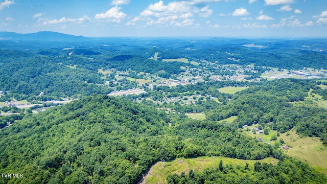 Tbd Icy Lane, Elizabethton, TN 37643 - photo 12