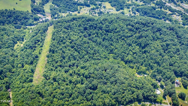 Tbd Icy Lane, Elizabethton, TN 37643 - photo 8