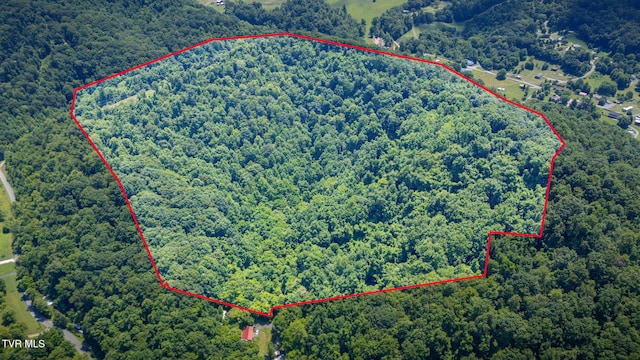 Tbd Icy Lane, Elizabethton, TN 37643 - photo 4