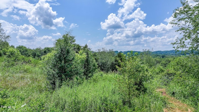 320 Wayland Dr, Greeneville, TN 37743 - photo 3