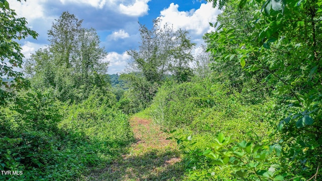 320 Wayland Dr, Greeneville, TN 37743 - photo 11