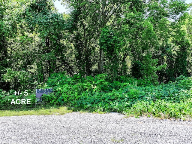 2646 Maples Branch Rd, Sevierville, TN 37876