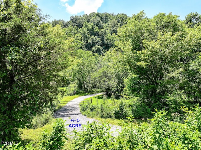 2646 Maples Branch Rd, Sevierville, TN 37876