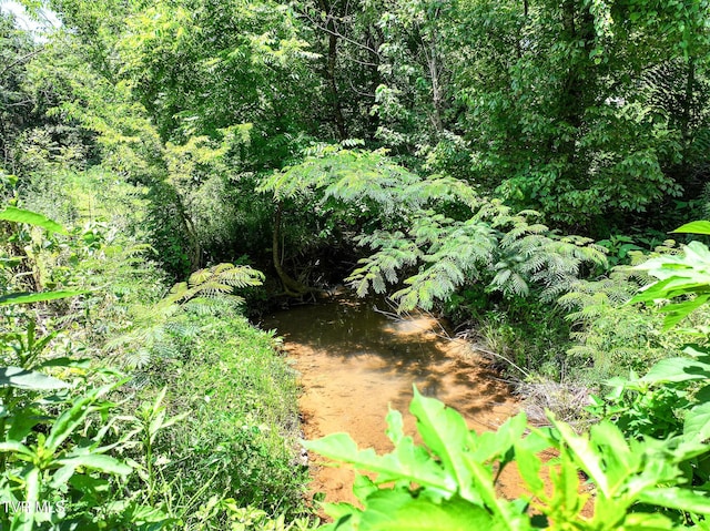 2646 Maples Branch Rd, Sevierville, TN 37876