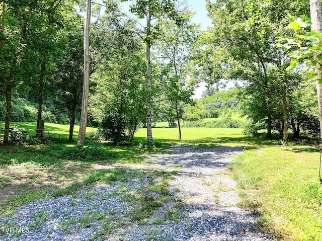 2646 Maples Branch Rd, Sevierville, TN 37876