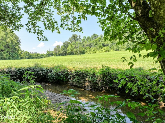 2646 Maples Branch Rd, Sevierville, TN 37876